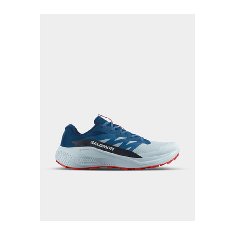 Mens Salomon Alphaglide Blue/Grey Trail Running Shoes